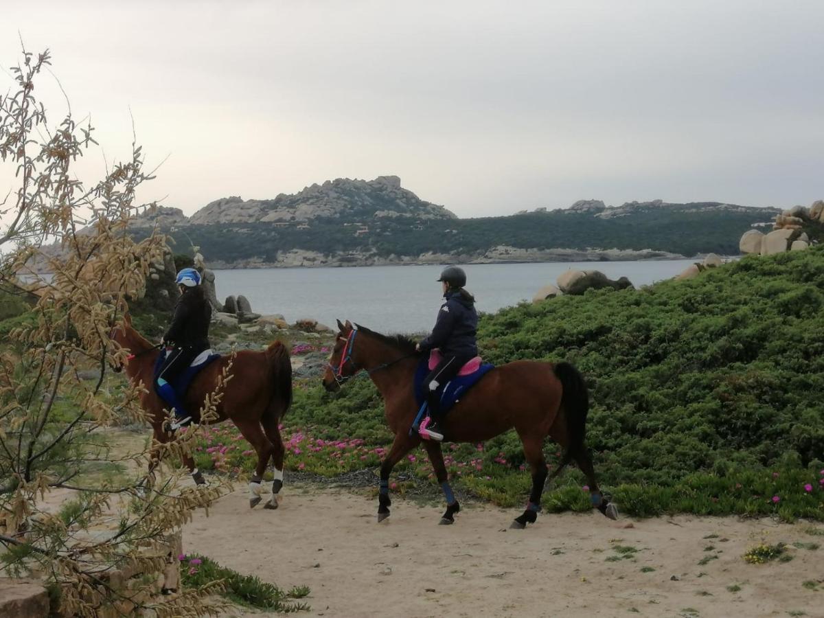 Casa Baia Santa Reparata - Santa Teresa Di Gallura Iun Q1712 Zewnętrze zdjęcie